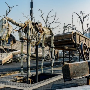 Der Freischütz